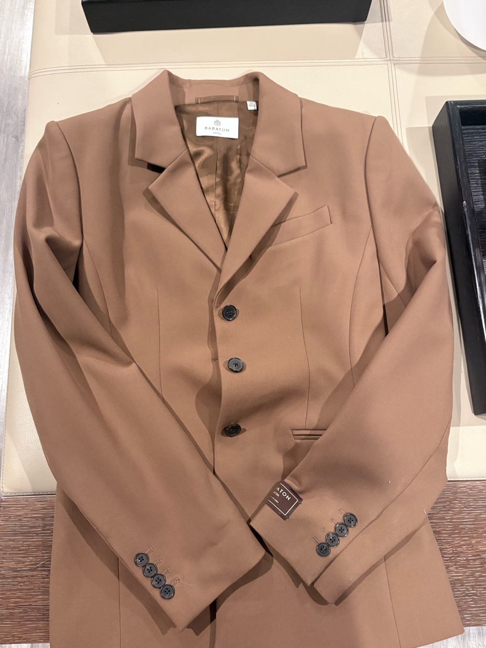 Aritzia Standout Blazer